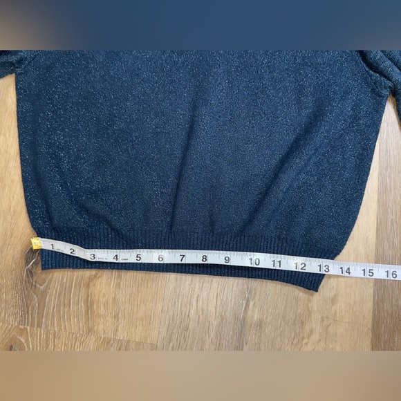 Free People Blue Sparkle Sweater ✨⭐️💖 - Picture 13 of 16